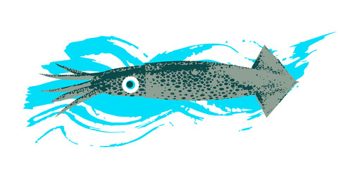 Marine life. Seafood. Kalmar. Vector illustration on white background with blue texture wave. © katedemian