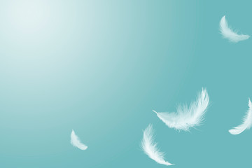 abstract, soft white feathers floating in the air