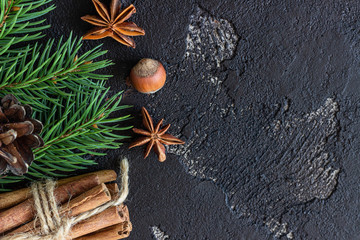New year tree branches, cones, spices and nuts  on brown concrete background with copy space. Merry Christmas and Happy New year.