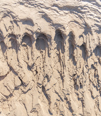 Sand waves on the beach