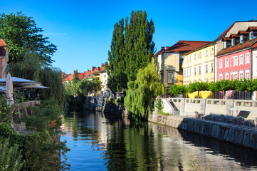 Fototapeta na wymiar River Ljubljanica