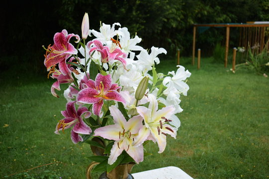 Bouquet de lys Stargazer, Casablanca et Mona lisa 