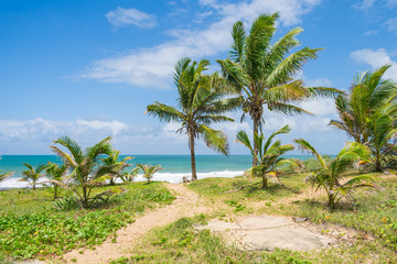 Fototapeta na wymiar A view of the beach near the Hippie village in Arembepe (Bahia, Brazil)