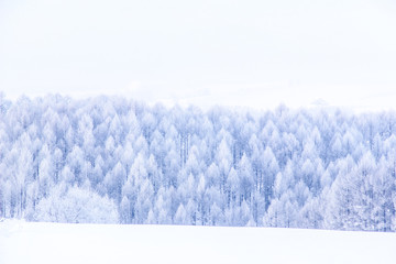北海道の冬景色