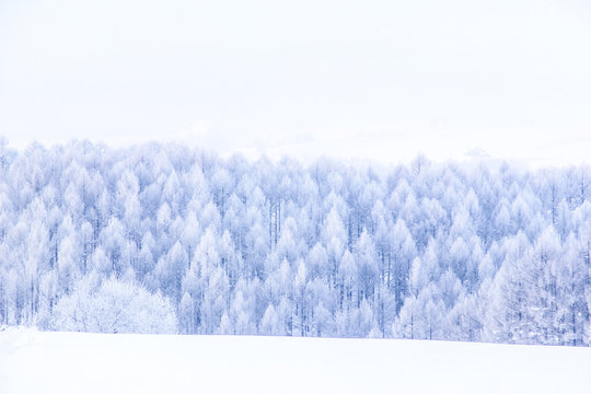 冬景色images Browse 43 215 Stock Photos Vectors And Video Adobe Stock