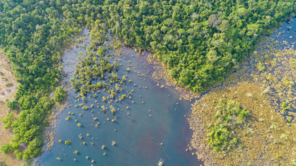Aerial view of an Amazon lagoon with palms in and around, natural island in a agricultural area, environmental protection, San Jose do Rio Claro, Mato Grosso, Brazil