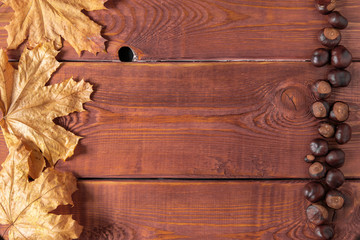 Autumn maple yellow leaves and chestnuts on a red wooden background. Top view, flat lay.