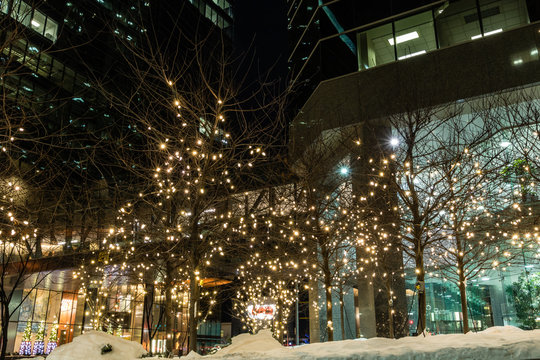 Christmas lights twinkle in the city, Calgary, Alberta, Canada
