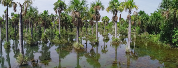 Beautiful Lagoa das Araras at sunset time with mirror reflections, Bom Jardim, Mato Grosso, Brazil