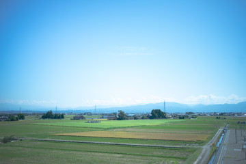 青い空と緑の田園風景