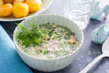 Traditional summer cold soup - okroshka in a bowl, horizontal