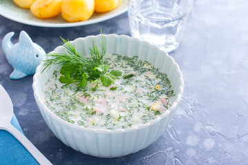 Traditional Russian summer cold soup - okroshka in a bowl, horizontal, copy space