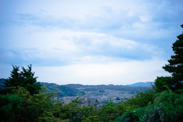 Fototapeta premium 兼六園の緑の風景