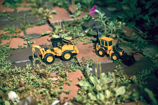 There are two bulldozers in the weedy garden.......