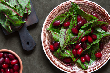 Dogwood with green leaves on a plate