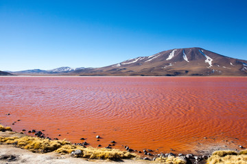 Laguna Colorada view, Bolivia