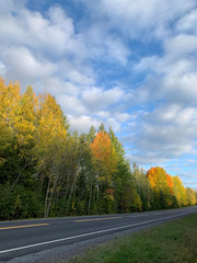 Obraz premium Colourful autumn day in Finland. Highway on a colourful scenery.