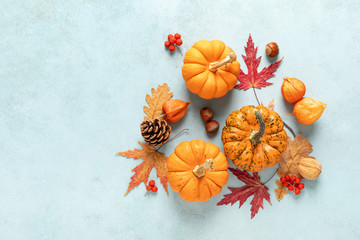 Festive autumn pumpkins decor with fall leaves, berries, nuts on blue  background. Thanksgiving day or halloween holiday, harvest concept. Top view flat lay composition with copy space for greeting