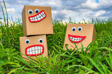 Three cardboard boxes on the green grass. Evil boxes interfere with each other. One box enjoys...