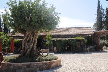 Var (France) : Ch&acirc;teau Saint-Roux &agrave; Vidauban