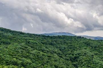 Mountains covered with forest before the rain.