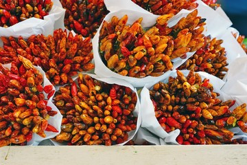 Bunches of dried red chili peppers