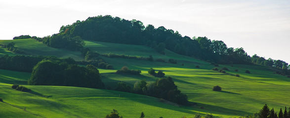 irish landscape with green fields and rolling hills with forest