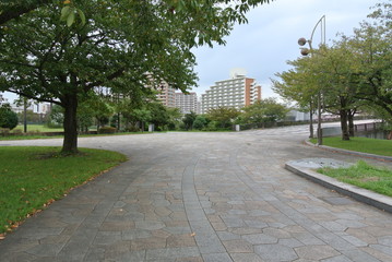 Obraz premium 郊外にある公園の分かれ道