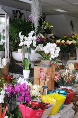 Marché de Boulouris (Var –Midi de la France)