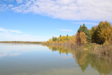 Fototapeta na wymiar Autumn Reflections On The Lake, Elk Island National Park, Alberta