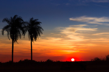 Sunset Hour on the Prairie outside Santa Maria, Paraguay