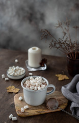 Obraz na płótnie Canvas cup of delicious hot chocolate with marshmallows. dark background with yellow autumn leaves