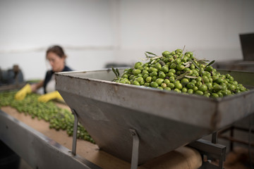 woman working in olives factory plant