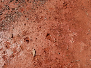 Texture ocre colorado provençal