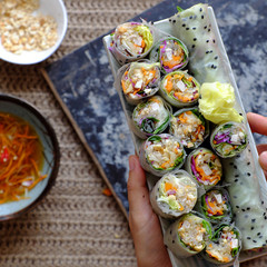 sliced vegan rice paper rolls on spring roll ingredient background