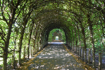 Fototapeta na wymiar Trellis in Garden of Snug Harbor - Beautiful Long Archway