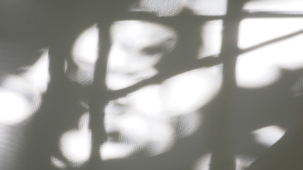 Abstract background photo the window shadow and sun lighting on the white PVC