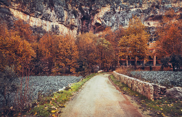 Beautiful autumn in the mountains