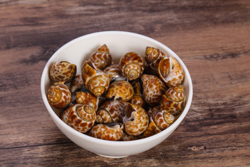 Tasty mollusk - spotted Babylon in the bowl