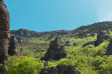 Hiking pathway- journey through roads, mystical nature