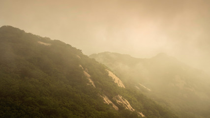 Mountain covered with mist and fog