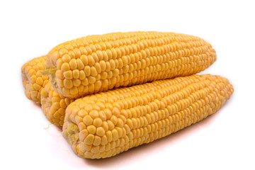 Corn isolated on a white background