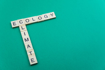 Ecology and green planet minimalistic concept. Isolated wooden letter blocks with word cloud Ecology  and Climate change