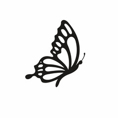 Butterfly icon vector