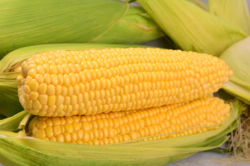 Fresh corn on cobs, closeup
