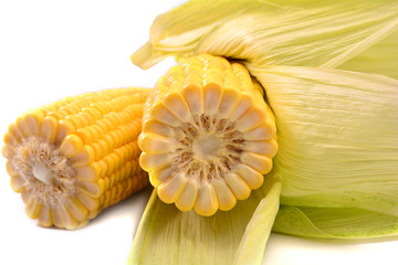Fresh organic corn with green leaves isolated on white background