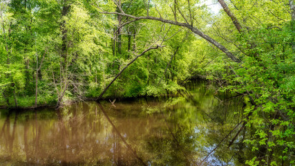 Fototapeta na wymiar Swampy river off highway in Virginia