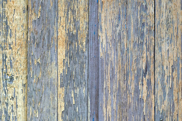 Fototapeta na wymiar Old painted wooden planks, rustic texture, background