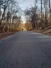 Fototapeta premium Krakow - Poland's historic center, a city with ancient architecture.