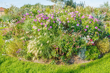 beautiful flowerbed in the garden